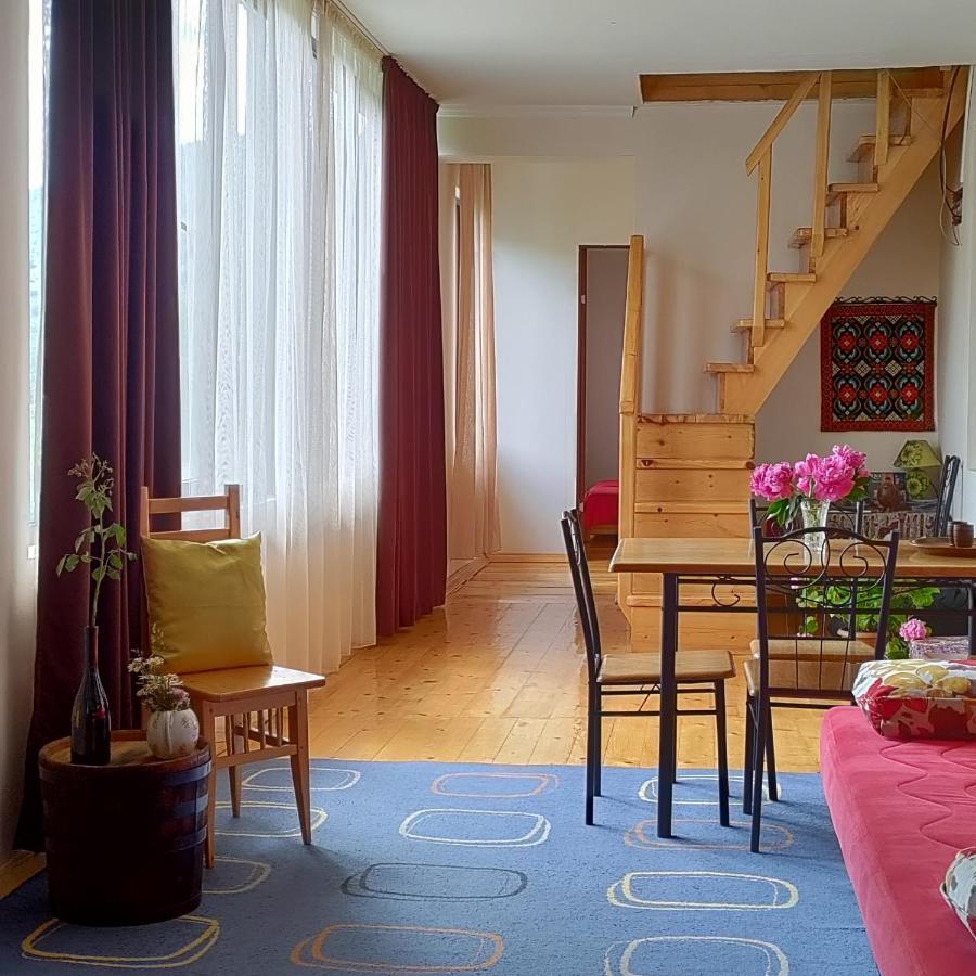 Village House メスティア エクステリア 写真